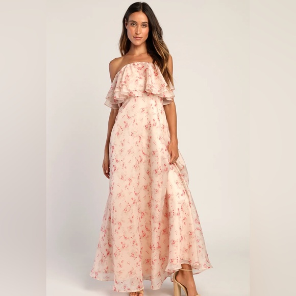 Lulu's - Pink Floral Print Organza Maxi Dress - Large - Picture 1 of 4